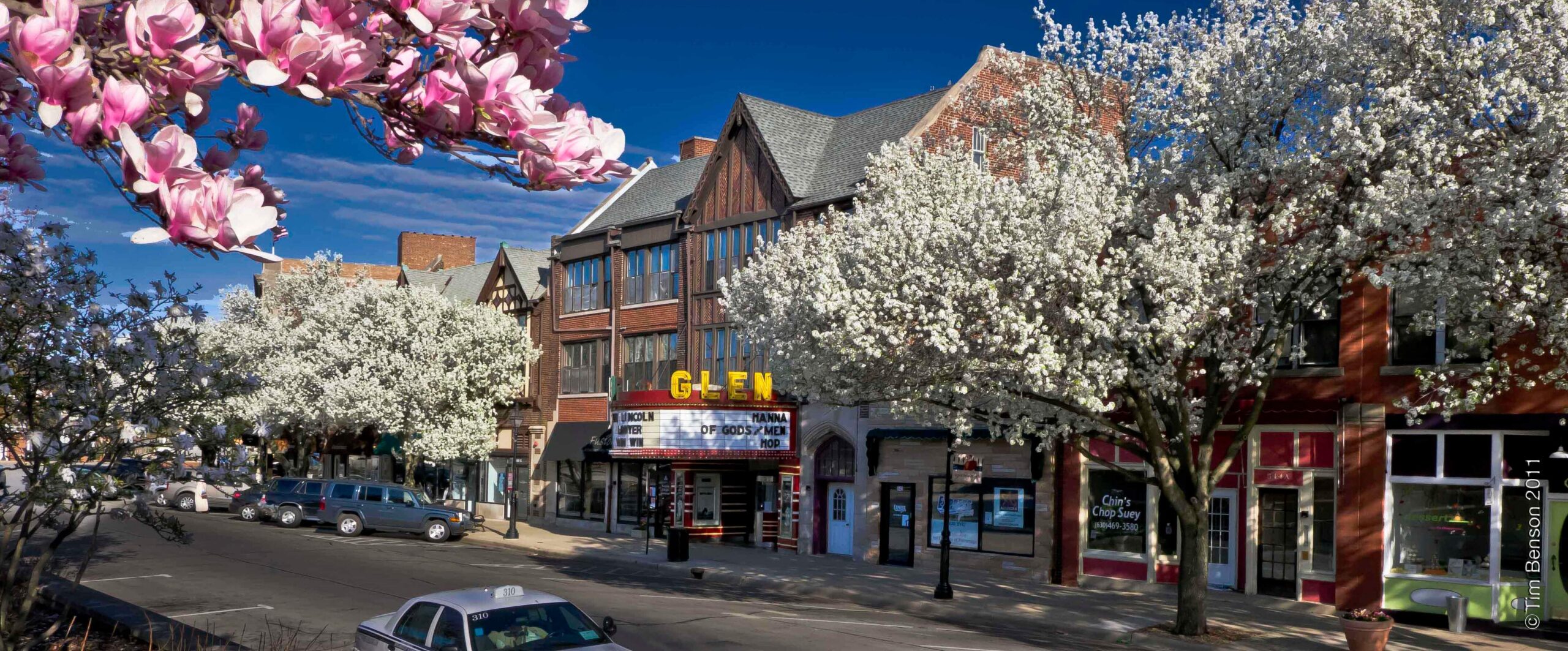 Downtown Addison IL businesses protected by security cameras, alarms, access control, and monitoring systems